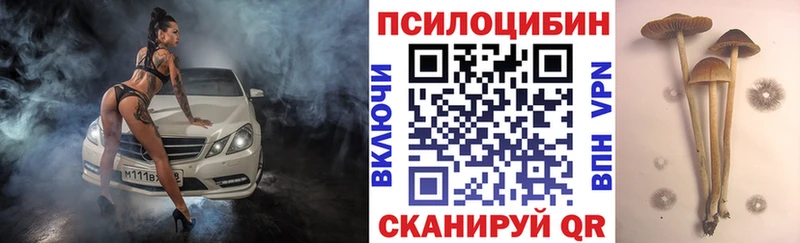 Галлюциногенные грибы ЛСД Тавда